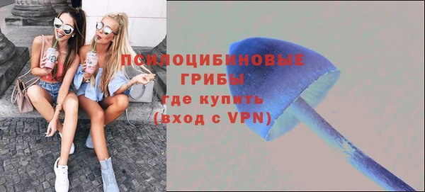 гашик Абинск