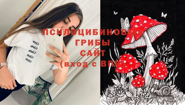 гашик Абинск