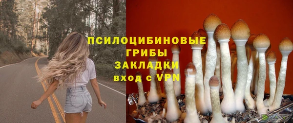гашик Абинск