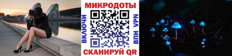 купить наркотики сайты  hydra ссылка  Галлюциногенные грибы MAGIC MUSHROOMS  Вышний Волочёк 